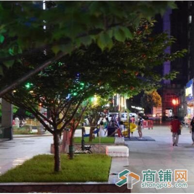凤凰家园小区社区底商旺铺出租图3
