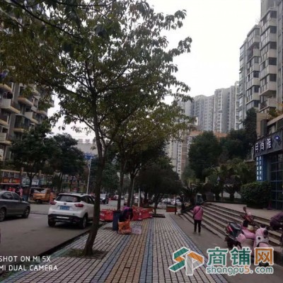 年租9万 双小区门口 4米开间 收益6个图2