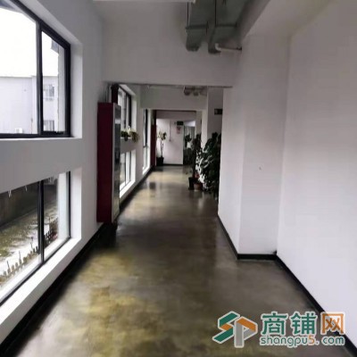 出租大宁商圈商办一体精装修办公房图2