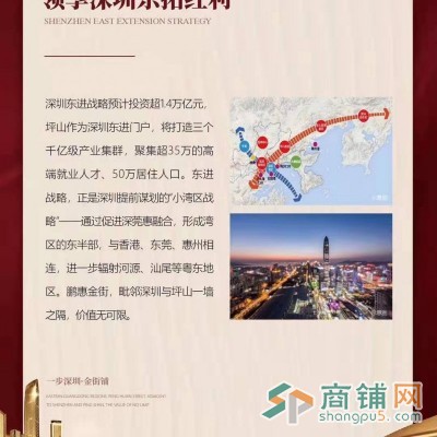 惠州大亚湾鹏惠金街图2