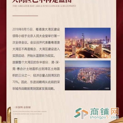 惠州大亚湾鹏惠金街图3