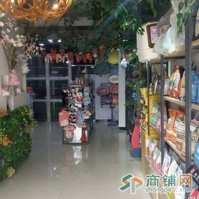 社区底商宠物店转让图2
