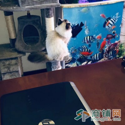 图文摄影图3