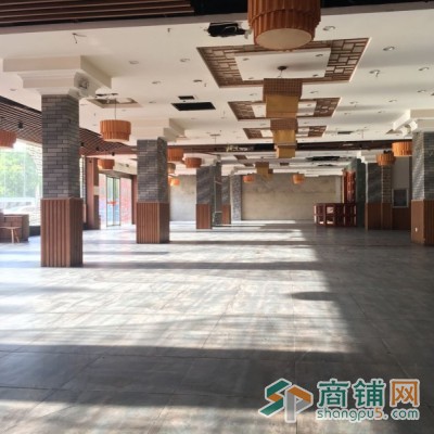 盘龙城领袖城临街黄金商铺招租图3