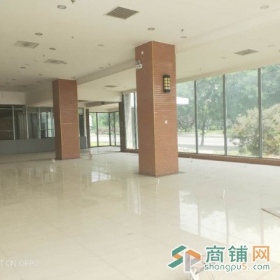 办公楼一层底商招租餐厅，超市，咖啡茶厅，酒店，公寓图3