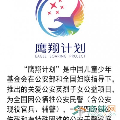 燕郊天洋城中儿鹰翔国际广场 教育综合体图3