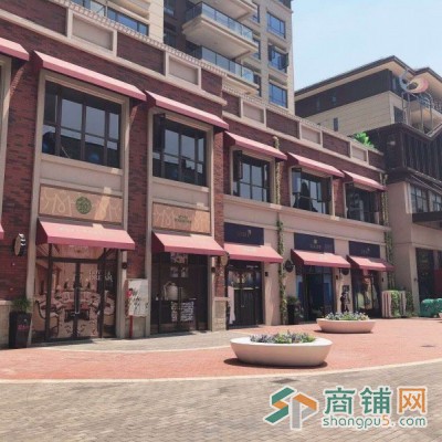 北市区独立临街自用现铺50~300平均价28000起急售图3