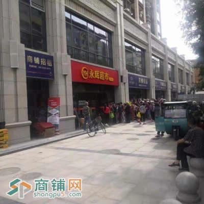 胡家庙商业街商铺出租1-03天伦·佐治公馆图2