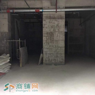 胡家庙商业街商铺出租1-03天伦·佐治公馆图3