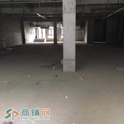 商业街地铁沿线一层1-05商铺招租图2
