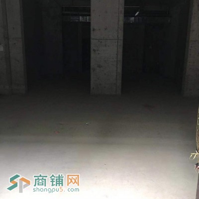 物业直招一层1-06商铺图2