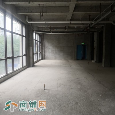 二环边地铁旁人流密集商圈天伦佐治公馆商铺2-05招租图2