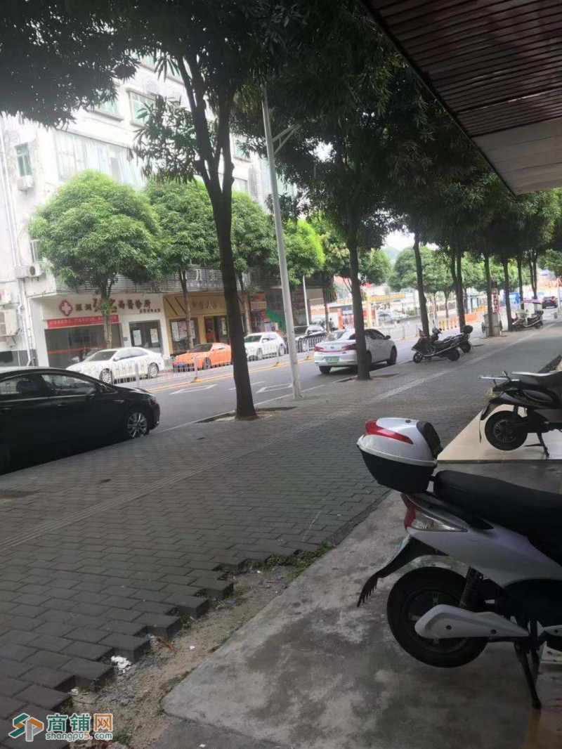 学校，小区附近旺铺转租图3