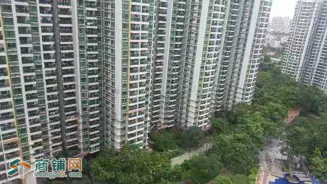 粤港澳大湾区皇岗口岸科技商铺急转图2