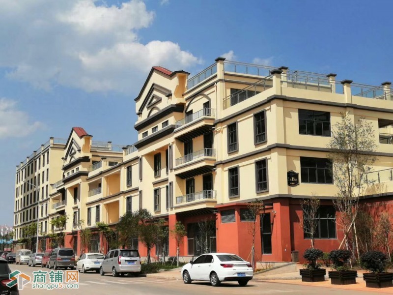 安宁太平 社群学校旁商业街旺铺图3