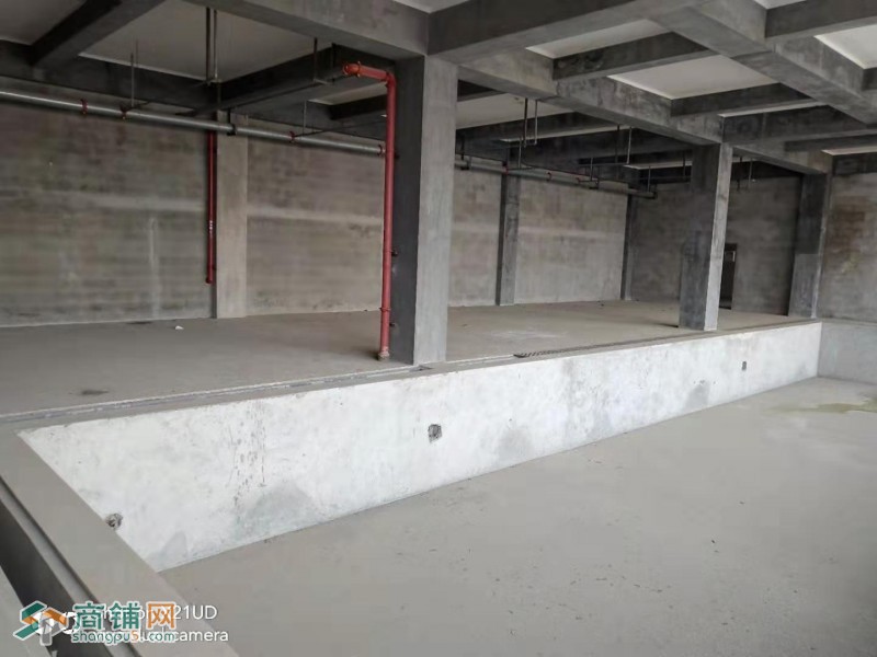 惠南地标建筑自带泳池招商健身房图3