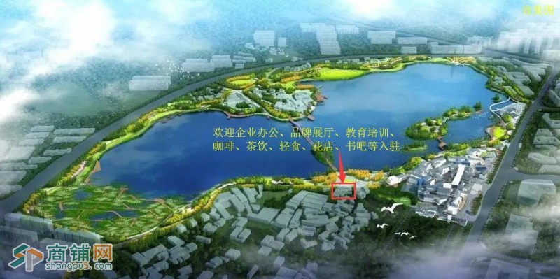 后湖国际艺术区湖景独栋商墅招租（面积20-700㎡自由划分）图2