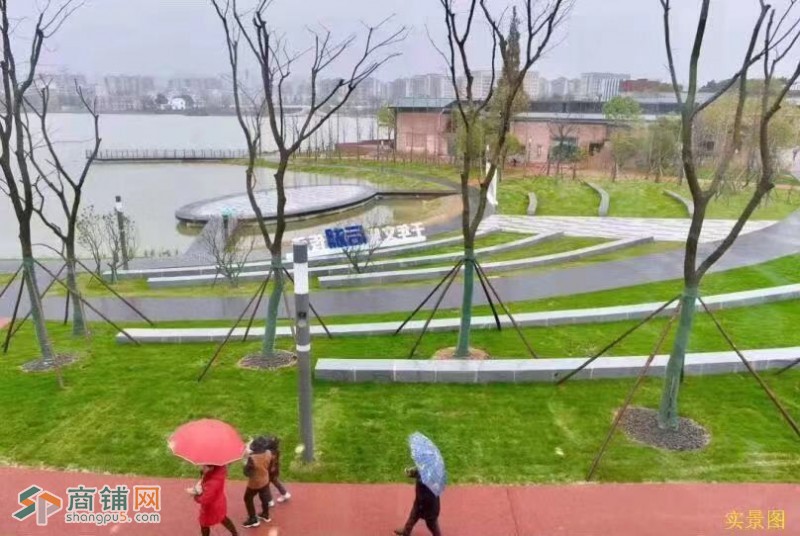 后湖国际艺术区湖景独栋商墅招租（面积20-700㎡自由划分）图3