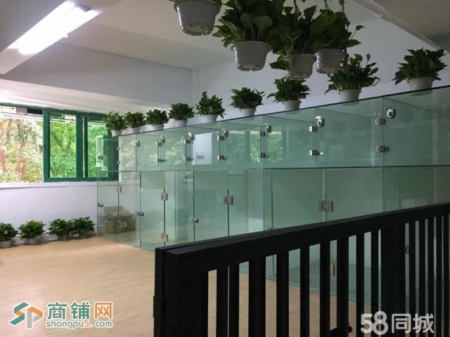 龙华区成熟宠物店转让W图2
