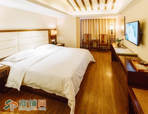 （东方历史文化主题酒店转让）樟木头中心区商业街图3