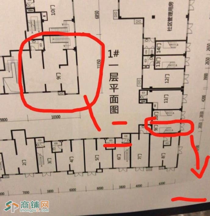 龙湖春江俪城1-9门图3