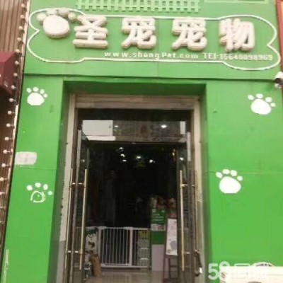 铁西区宠物店转让可空兑W