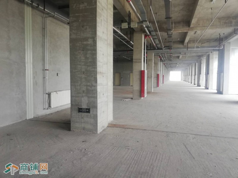 团泊湖风景区酒店商铺新铺图2