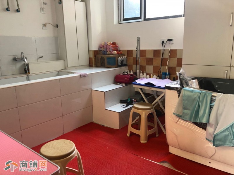 北京朝阳区白鹿司旺铺宠物店转让图2