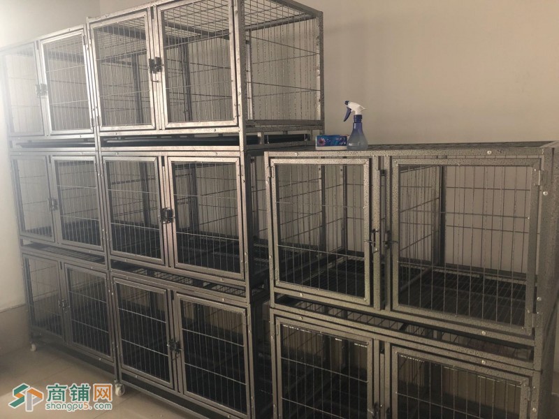 北京朝阳区白鹿司旺铺宠物店转让图3