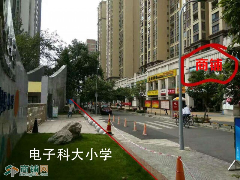 电子科大小学正对面图3
