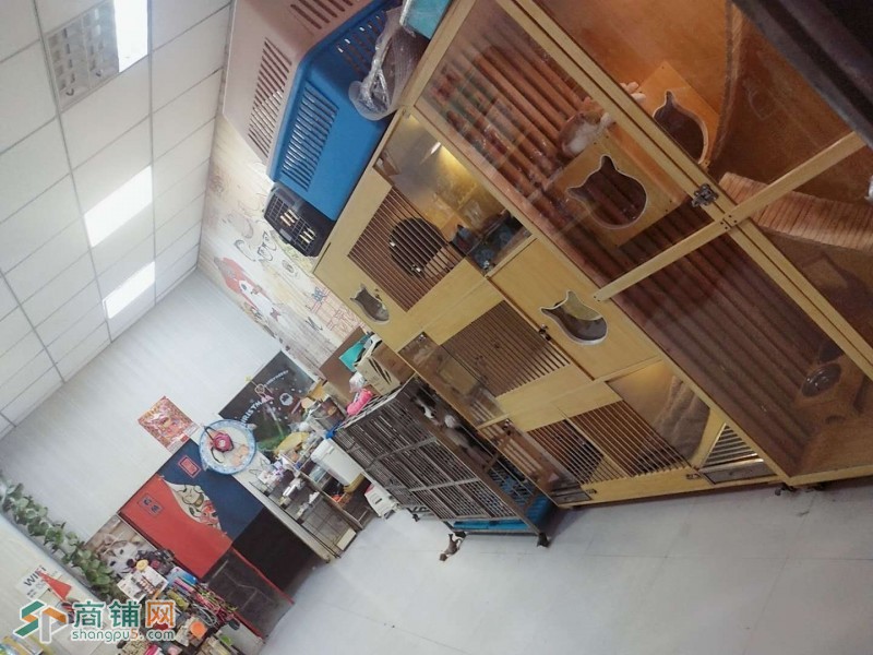 萌宠店图2