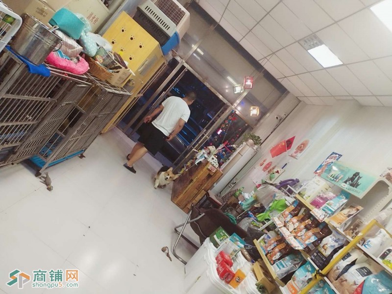 萌宠店图3