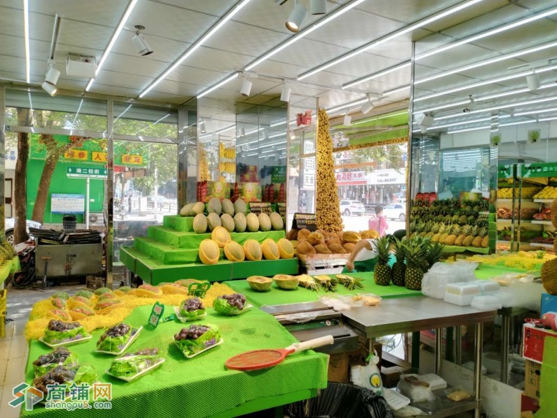 沈河果唯伊出兑图2