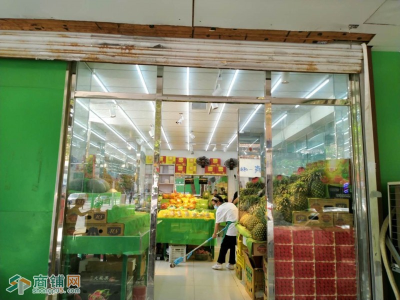 沈河果唯伊出兑图3