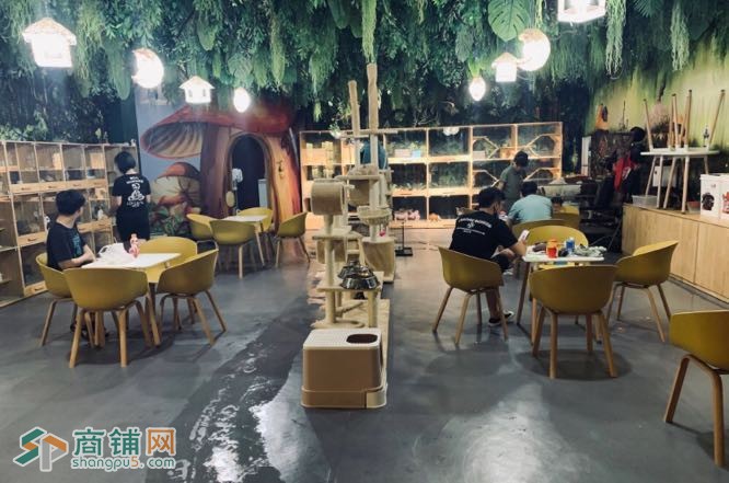 于洪碧桂园银河城商业广场萌宠乐园出兑 接手即可赚钱图2