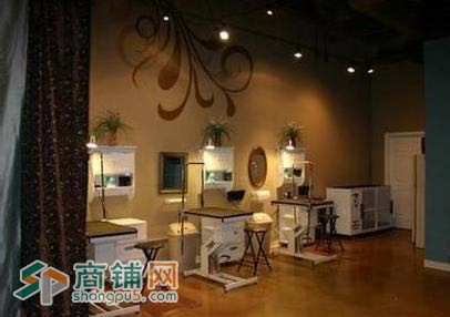 浑南盈利成熟宠物店转让（中介网站勿扰）图2