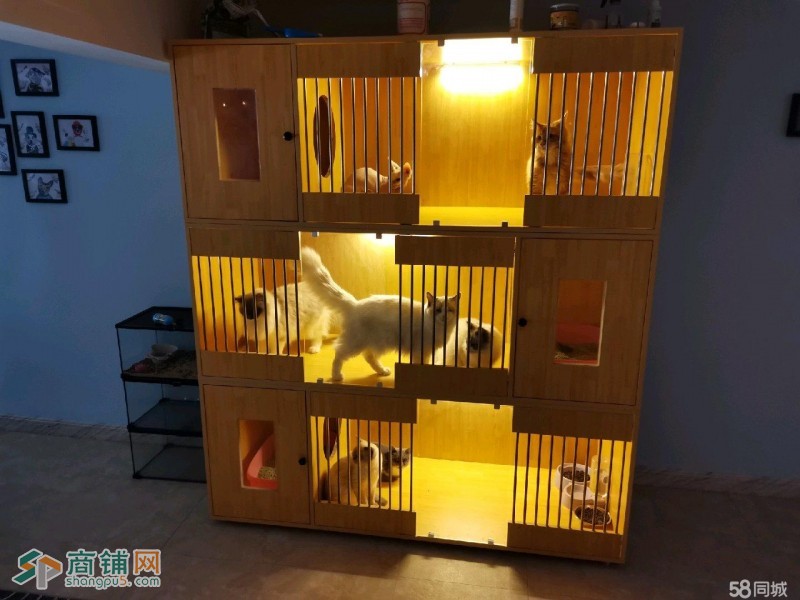 赫赫魔宠咖啡屋 中介快转勿扰！图2