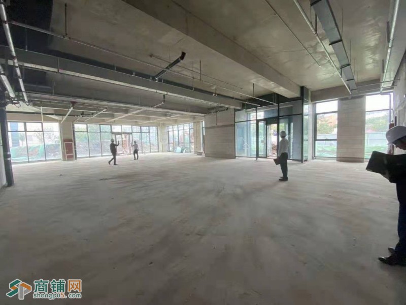 南开纯一层 单价2.29万 50米展示面 临主街大把角图2