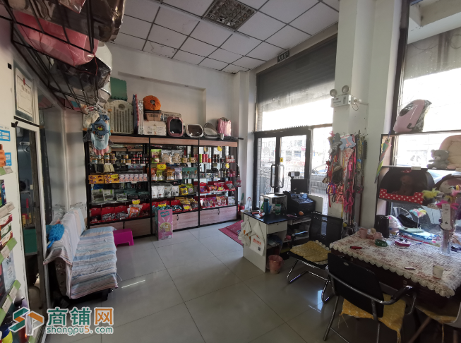 铁西十年宠物老店转让出兑推广中介勿扰图2