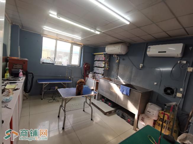 铁西十年宠物老店转让出兑推广中介勿扰图3