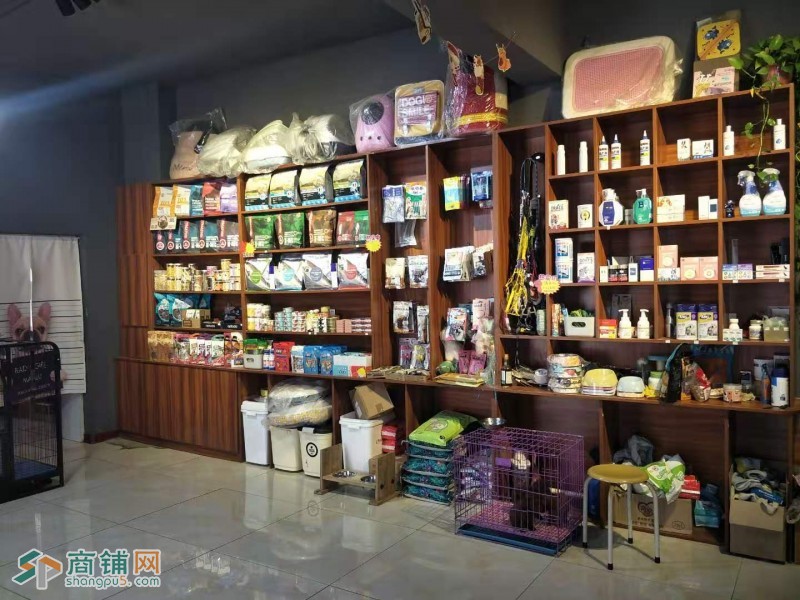 五爱街盈利中宠物店出兑（中介网站勿扰）图2