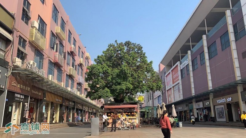 龙华大浪商业中心羊台山美食街转让W图3