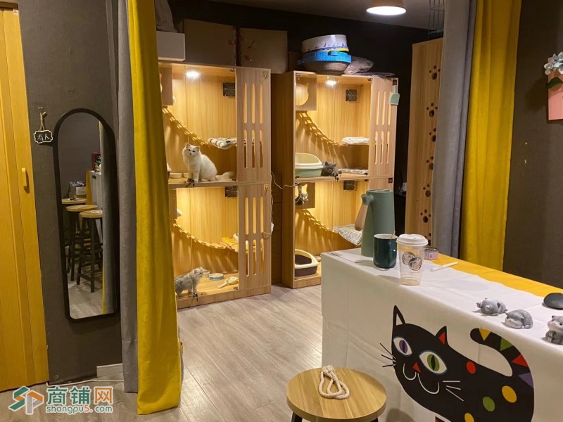 宠物（喵）店转让，周围资源丰富图3