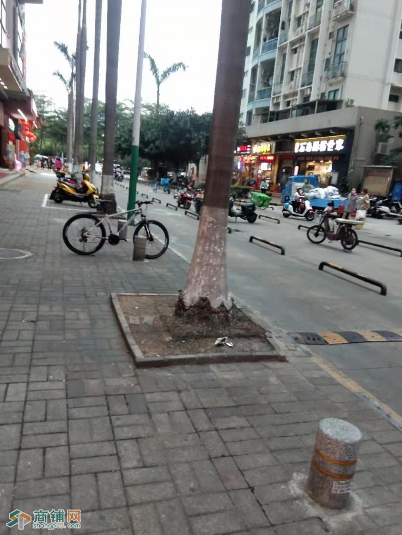 宝安中心地铁站盈利万象果园水果店转让w图2