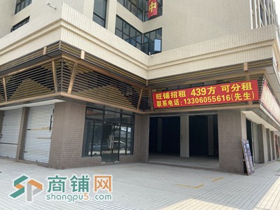 南海大沥兴盛商业楼，临街旺铺，交通便利，可分租图2