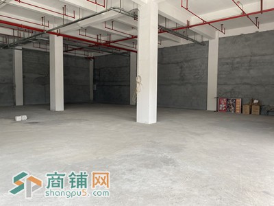 南海大沥兴盛商业楼，临街旺铺，交通便利，可分租图3