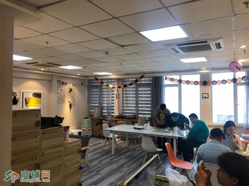 市北区宇恒大厦猫咖密室转让图3