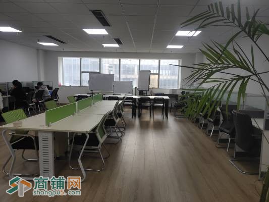 纯写字间招租图2