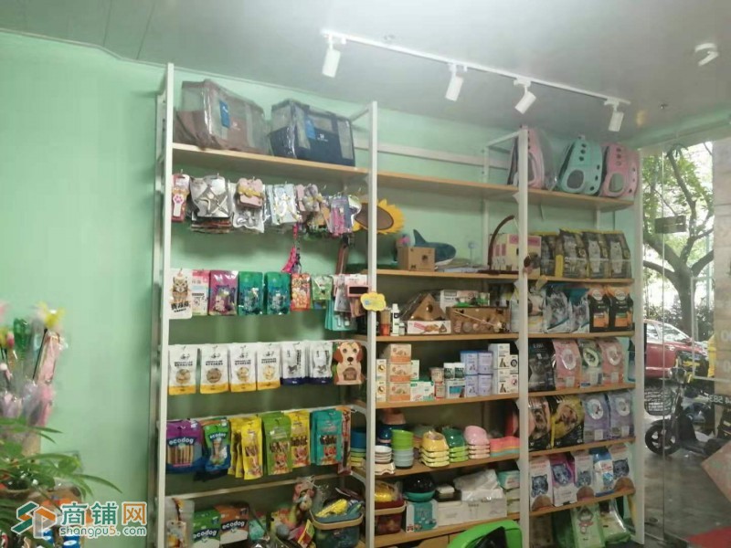 南山区阳光棕榈园宠物店转让W图2