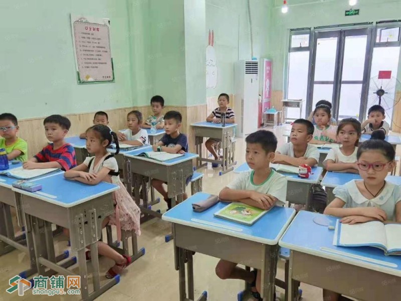 品牌教育培训机构图2